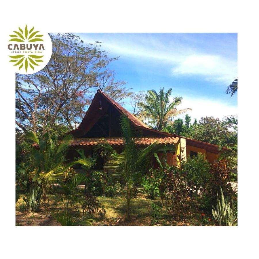 Cabuya Lodge Luaran gambar